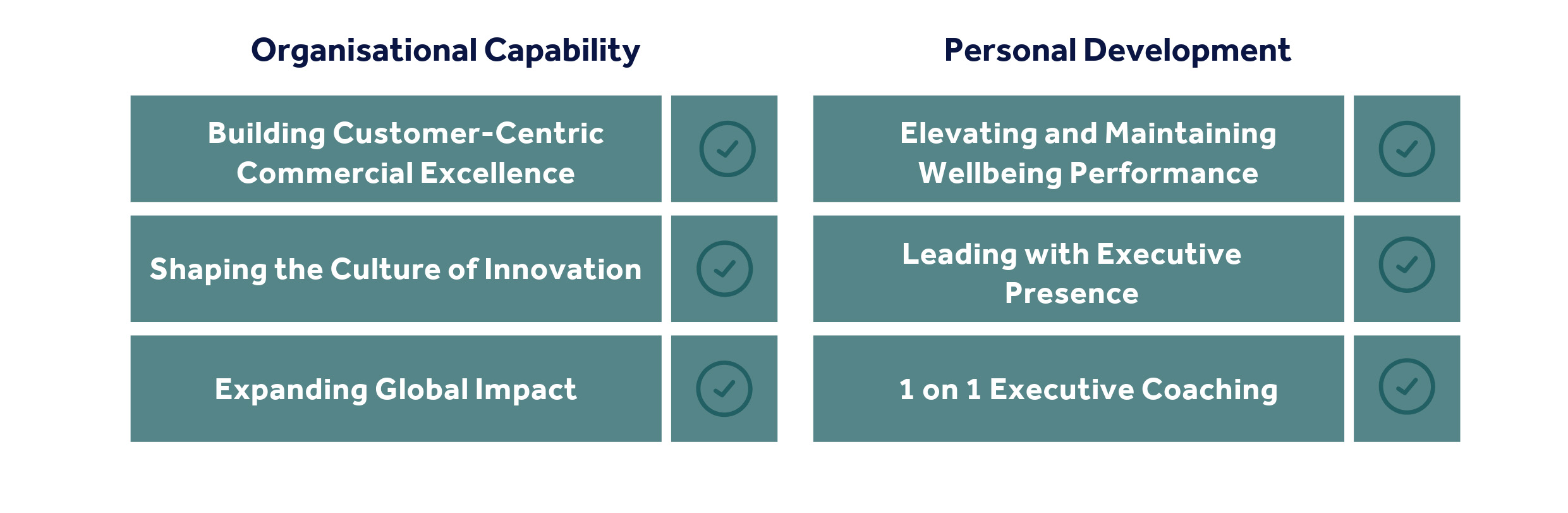 CEO360 programme electives