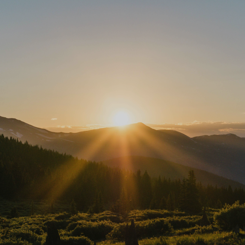 Consulting: Talent and Capability