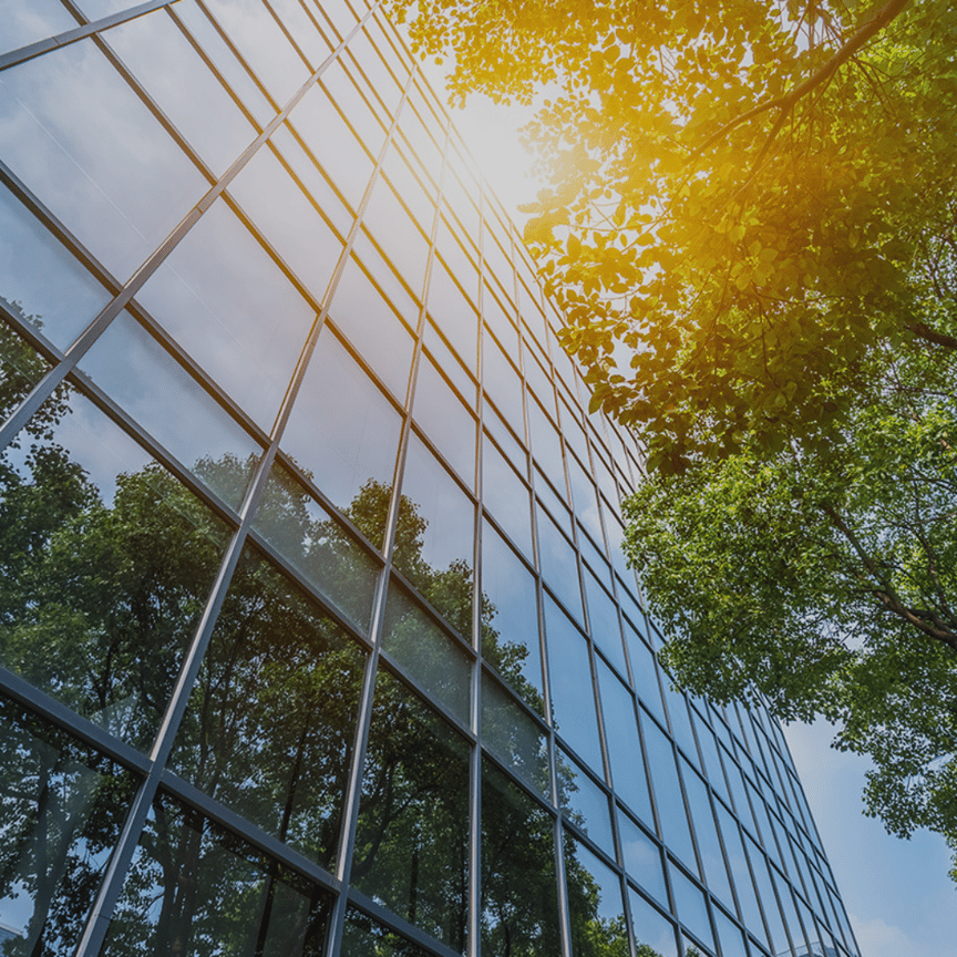 Leadership Development Programmes