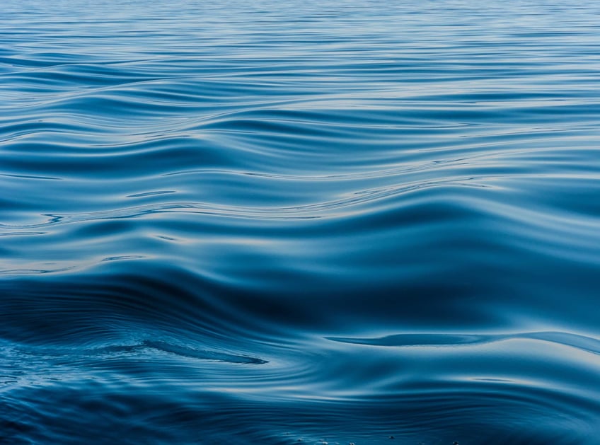 Growth Organisation Scholarship