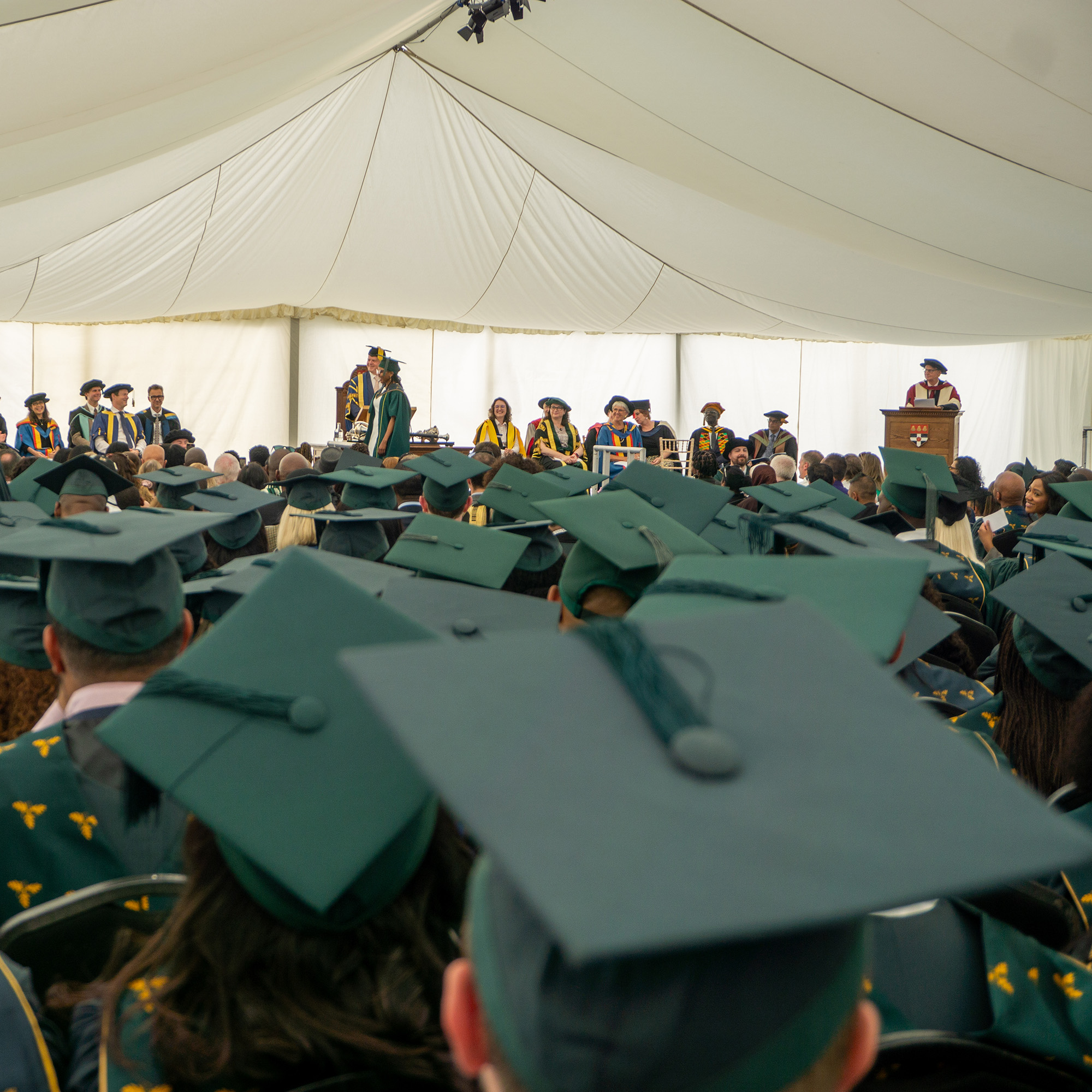 Graduation hat view 2025