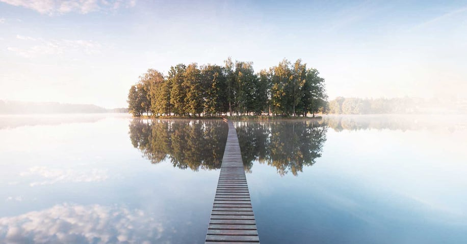 Team and Systemic Coaching | Henley Business School Finland