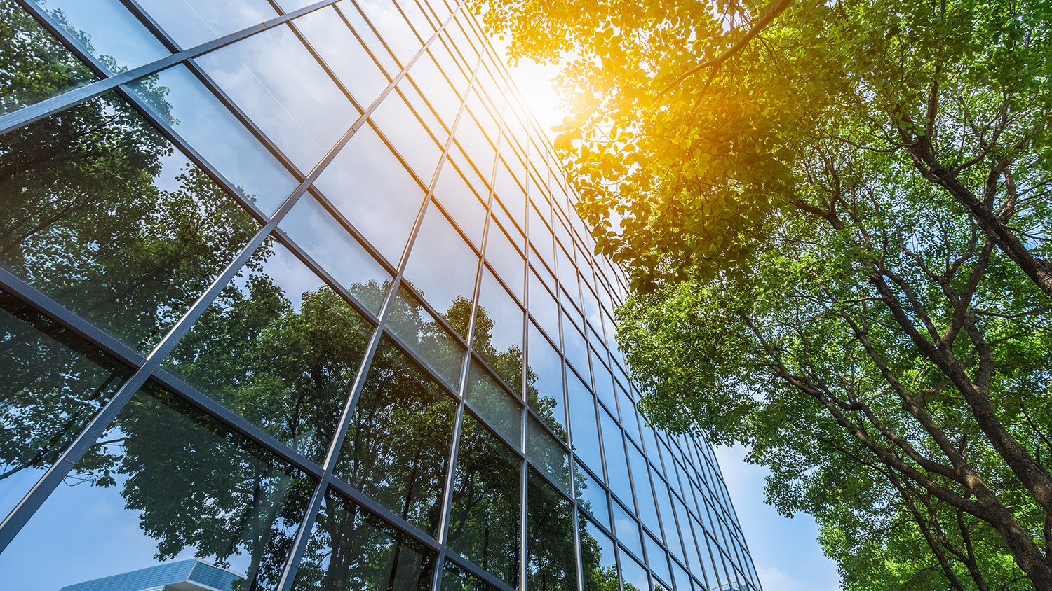 Explore our custom programmes for organisations