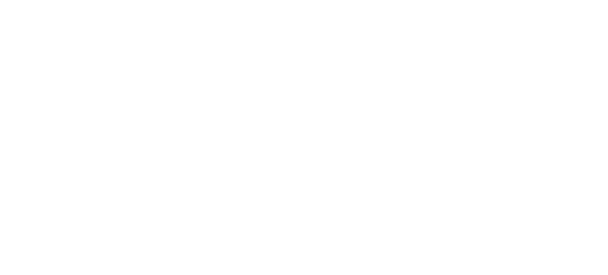 emcc-logo-finland-white
