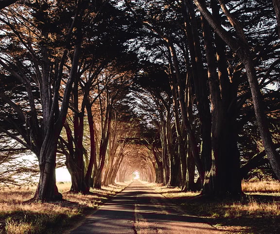 Team and Systemic Coaching | Henley Business School Finland