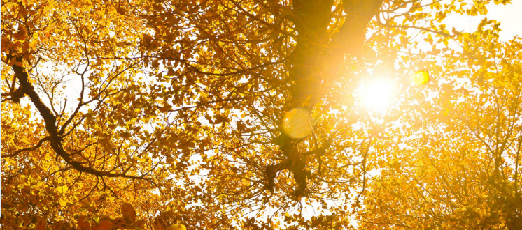 8 strategies to retain top talent