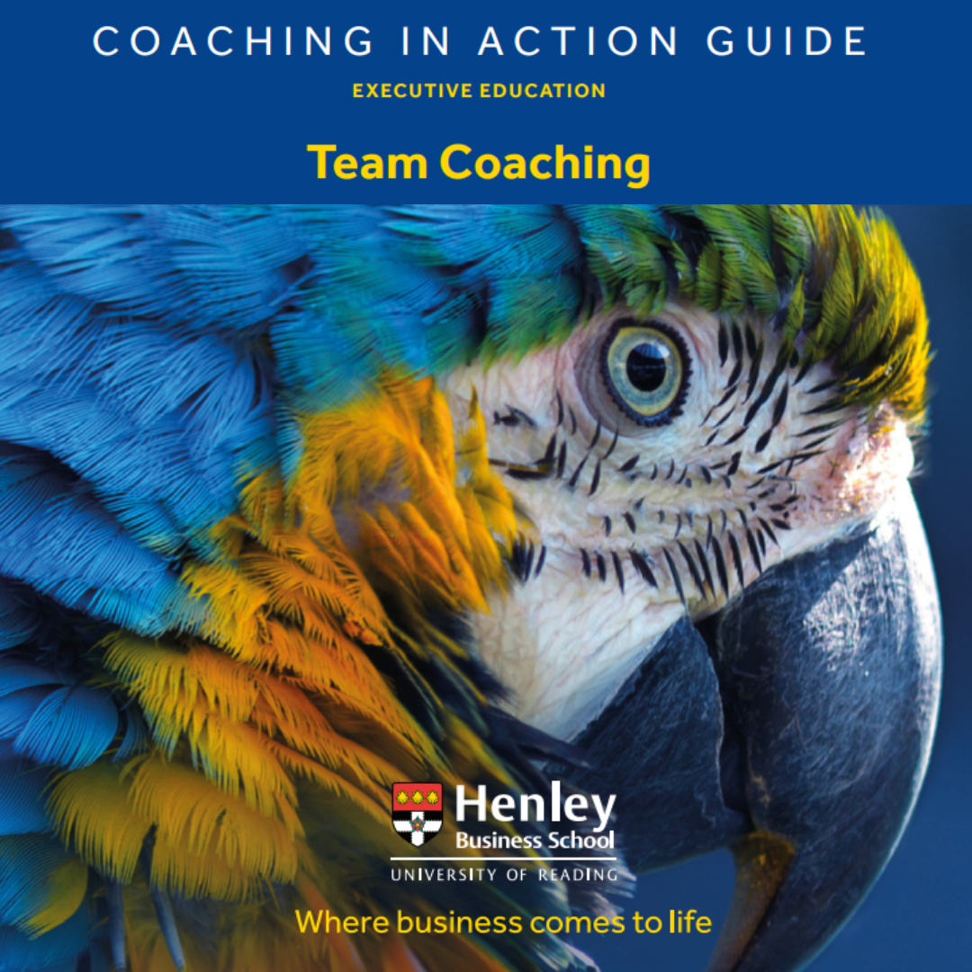 Team Coaching in Action Team Coaching in Action